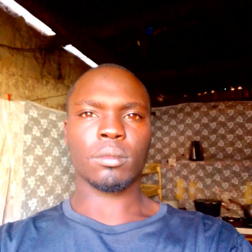 Tom N. profile photo
