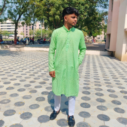 Ashish  P. profile photo