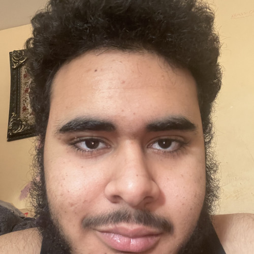 Mahmoud  A. profile photo
