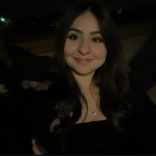 Noe N. profile photo