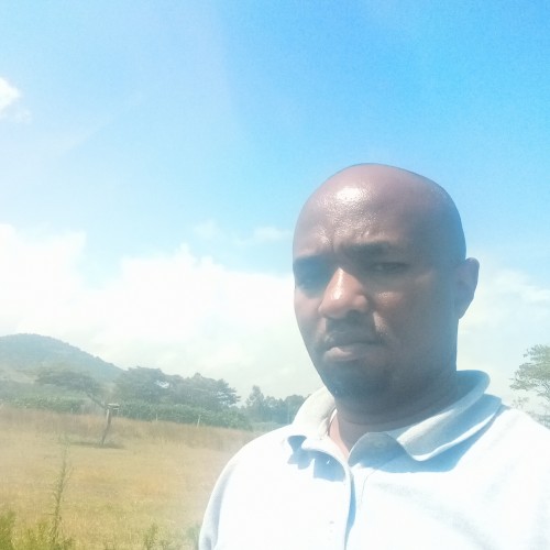 David  K. profile photo