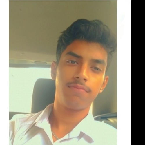 Ansh A.