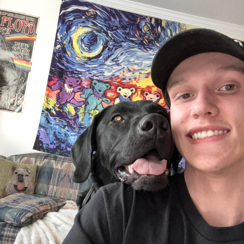 Avery S. profile photo