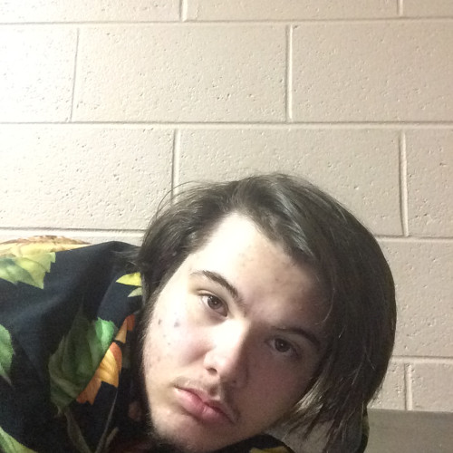 Travis E. profile photo