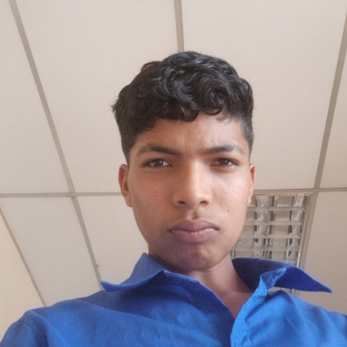 Maicol M. profile photo