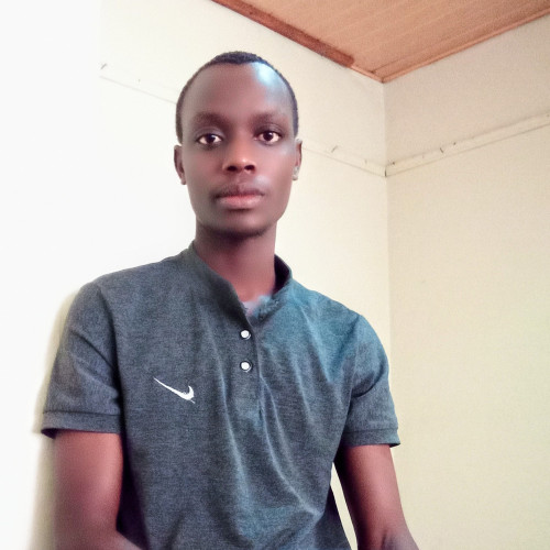 naftali k. profile photo