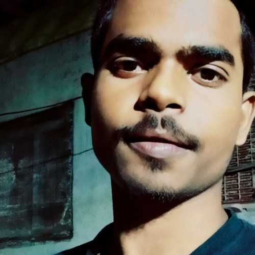 Debanshu D. profile photo