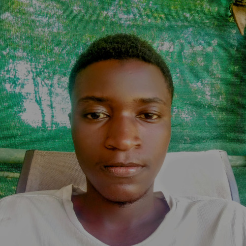 David G. profile photo