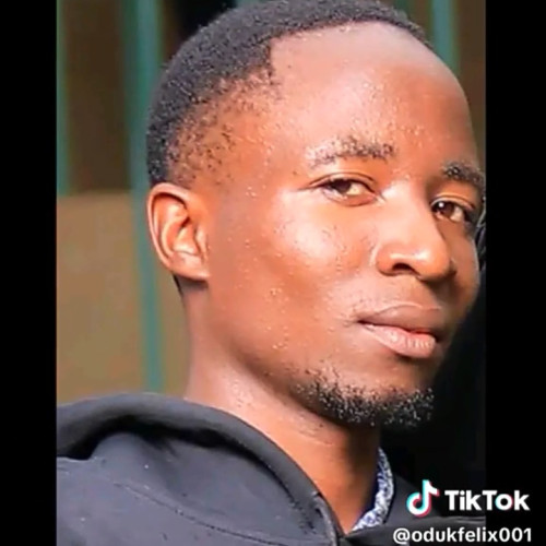 Felix  O. profile photo