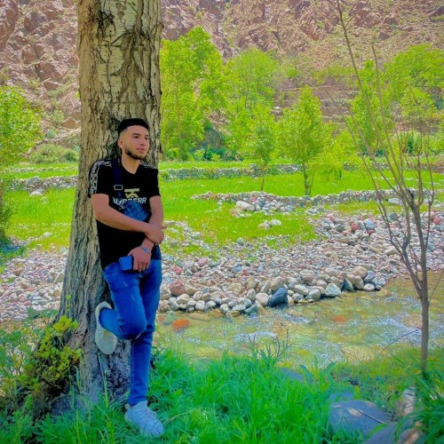 Youssef E. profile photo