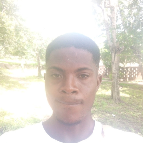 David M. profile photo