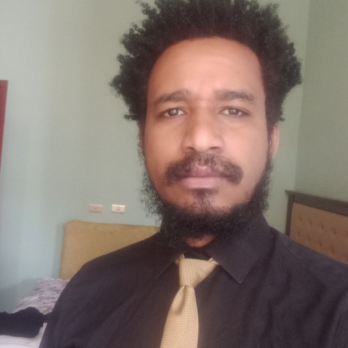 Metasebiya D.
