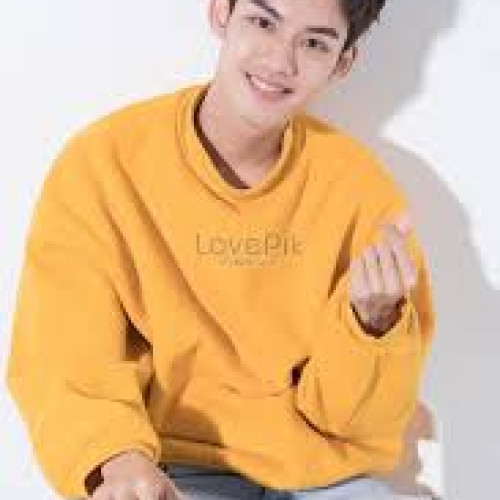 ELHOUSSIN  N. profile photo