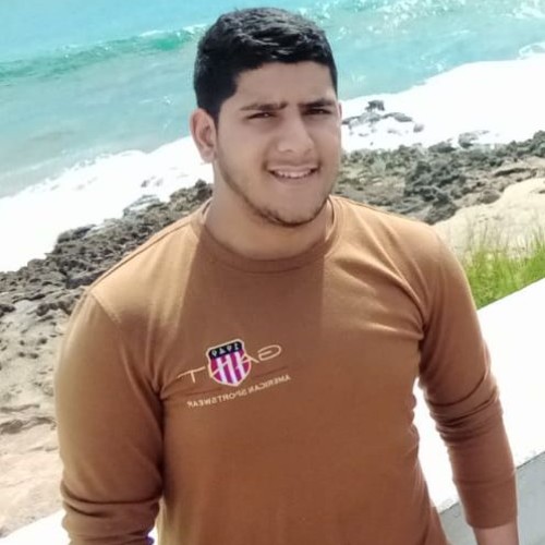 hassan b. profile photo