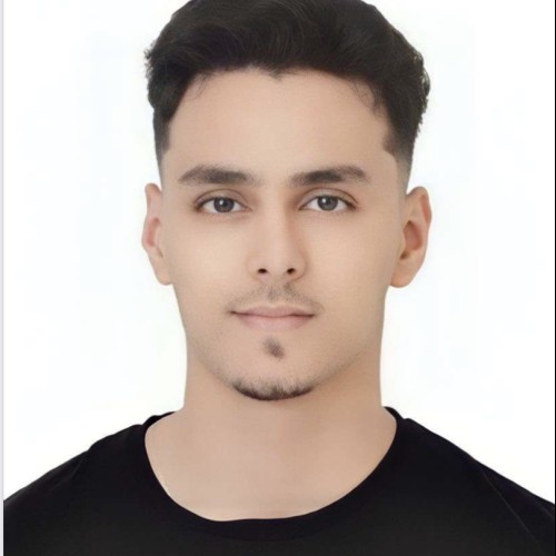 Amine L. profile photo