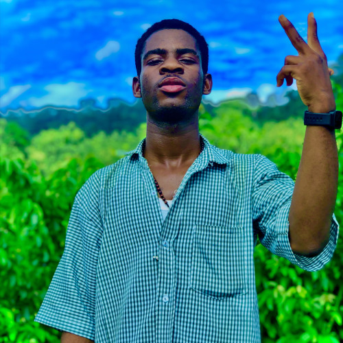 khojo D. profile photo