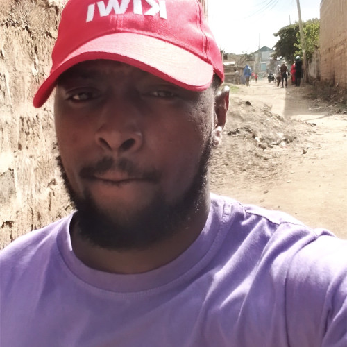 Tom n. profile photo