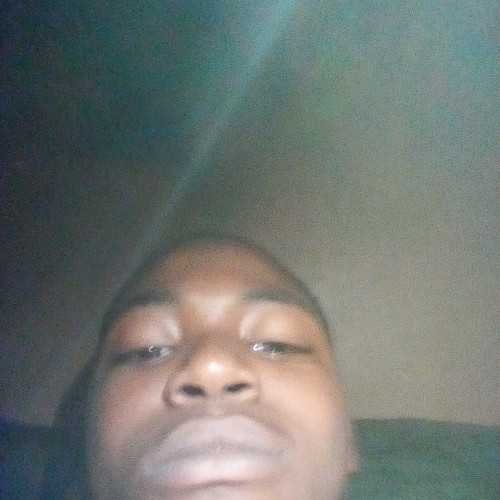 Daniel I. profile photo