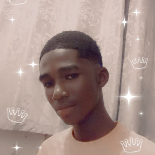 Kelvin K. profile photo