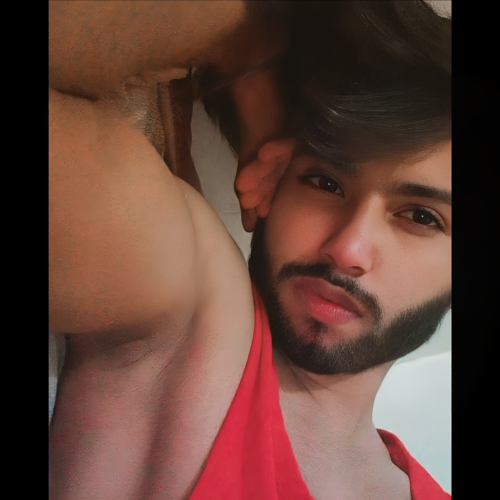 Talha P. profile photo