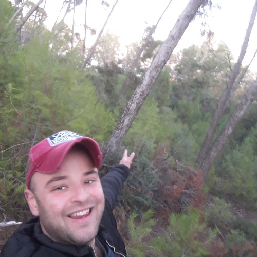 Mehdi  A. profile photo