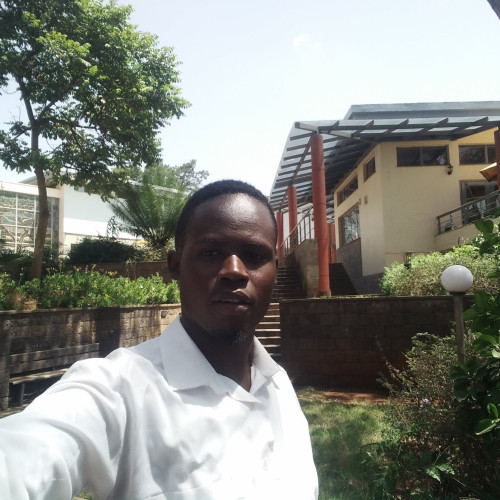 Gilbert N. profile photo