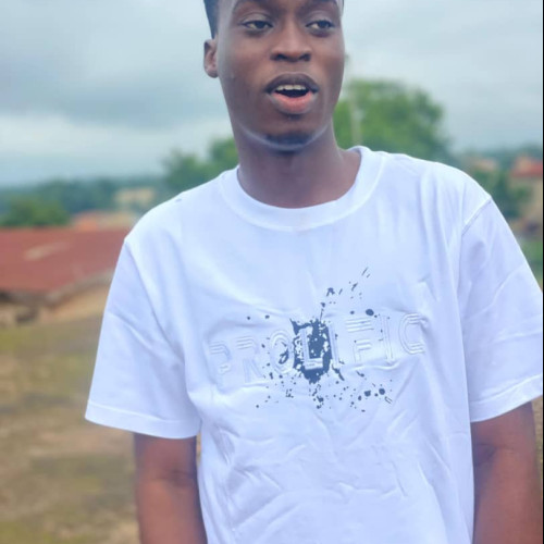 Oluwasheun  A. profile photo