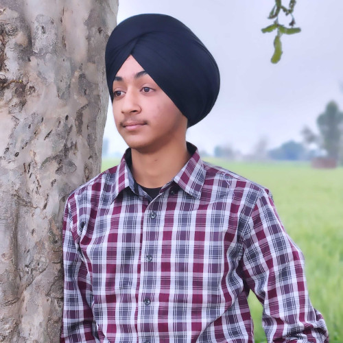 Arjunpreet singh D. profile photo