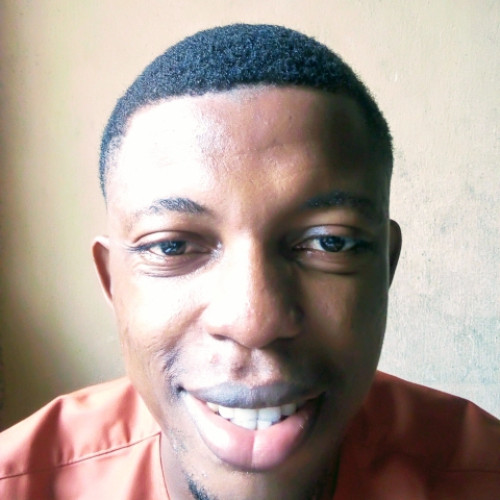 Adetayo  P. profile photo