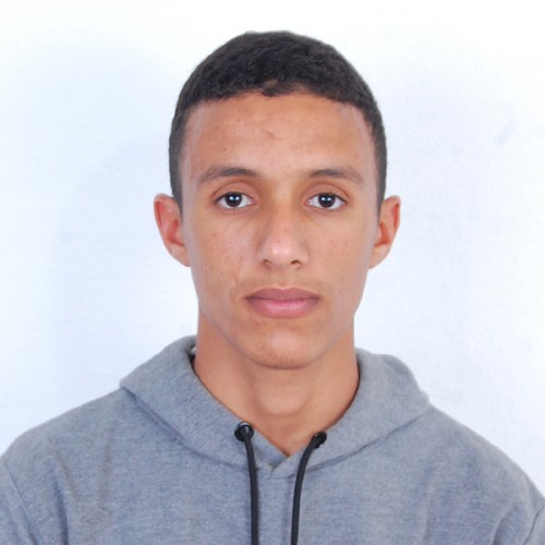 abdelhay e.