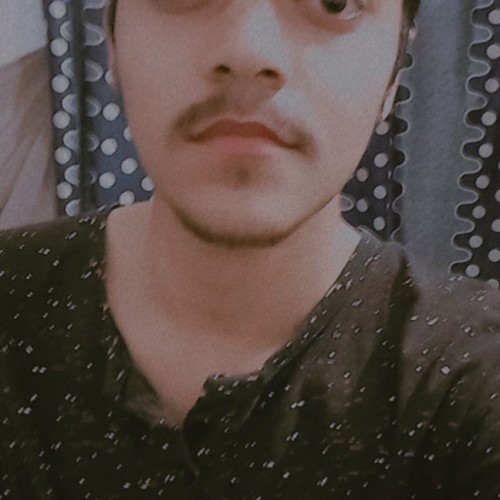 Astitva  S. profile photo