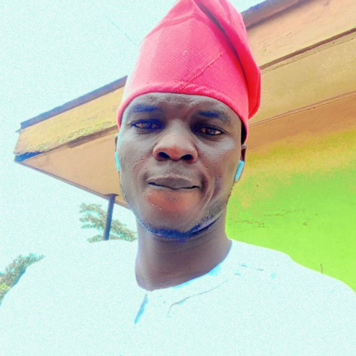 Biodun  A. profile photo