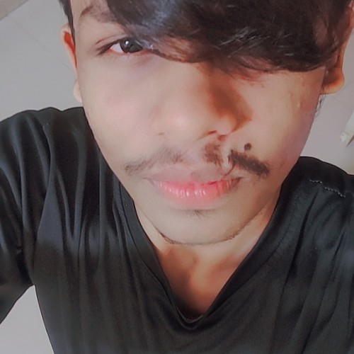 Sarfarosh K. profile photo