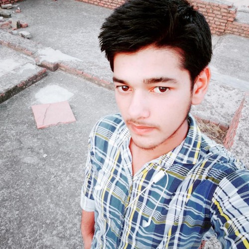 Harsh V.