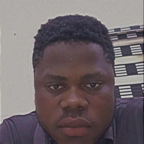 Ajibare S. profile photo