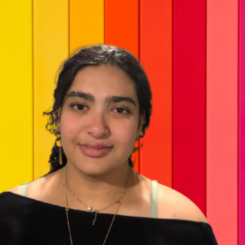 Zahraa Z.
