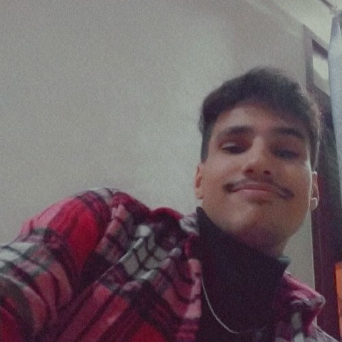 Mohammed Amine B.