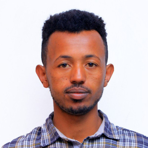 Dawit T.