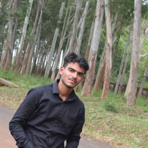 Biswajit S.