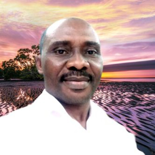 Faleye A. profile photo