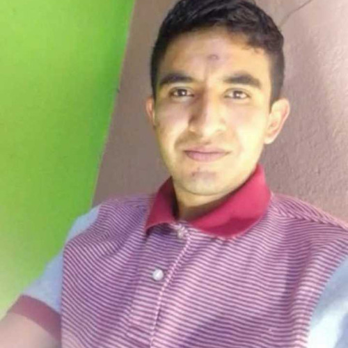 anul l. profile photo