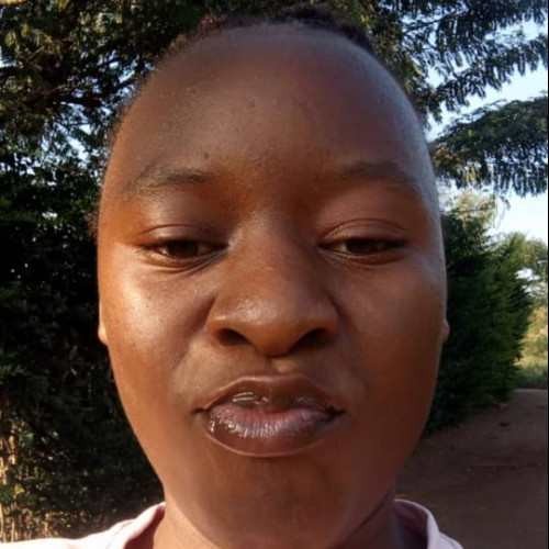 Nancy C. profile photo