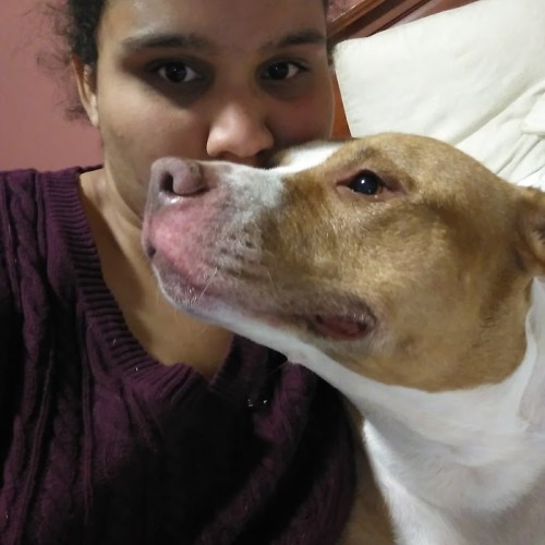 Silina C. profile photo