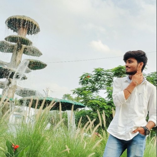 Vishnu  R.