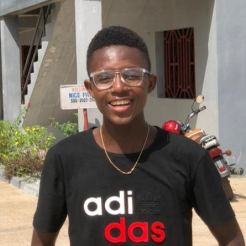 David Saio K. profile photo