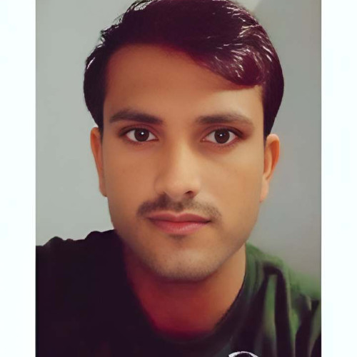 Muhammad  N. profile photo