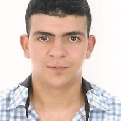 Mesaoudi M. profile photo