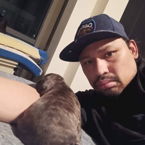 Francisco  A. profile photo