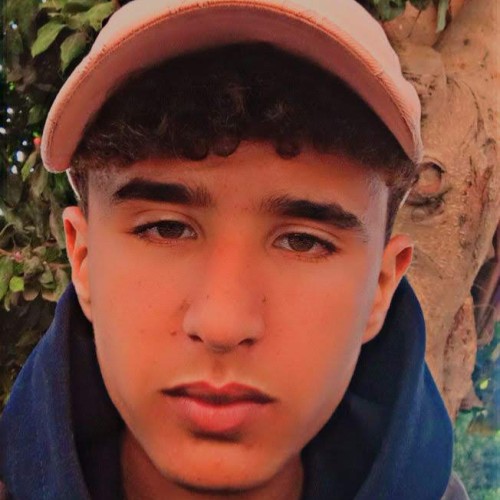 Ayoub  C.