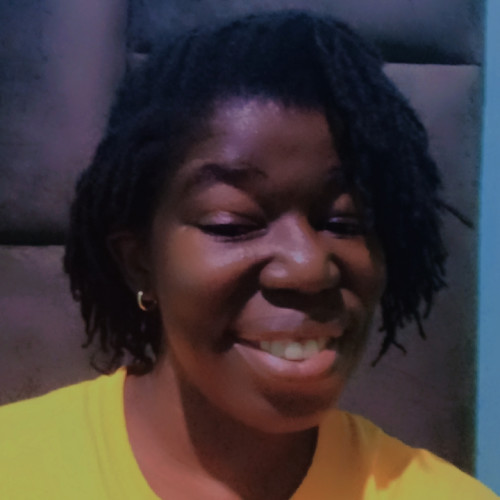 Sindiso  N. profile photo